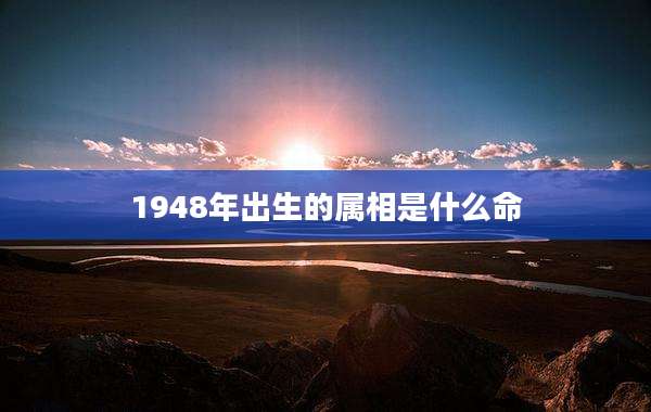 1948年出生的属相是什么命