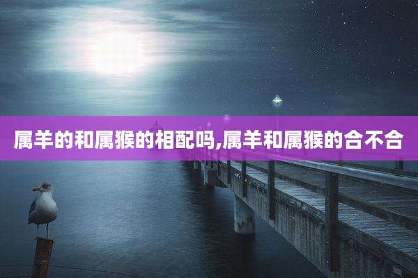 属羊的和属猴的相配吗,属羊和属猴的合不合