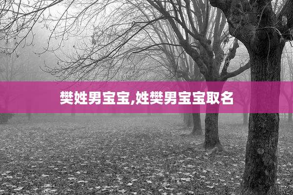 樊姓男宝宝,姓樊男宝宝取名