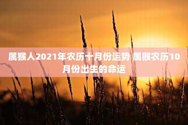 属猴人2021年农历十月份运势 属猴农历10月份出生的命运