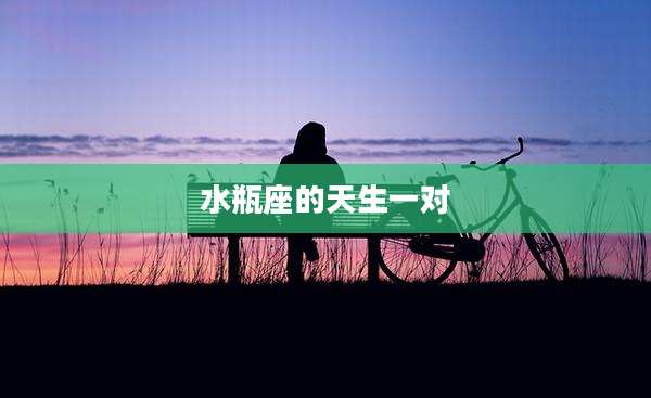 水瓶座的天生一对
