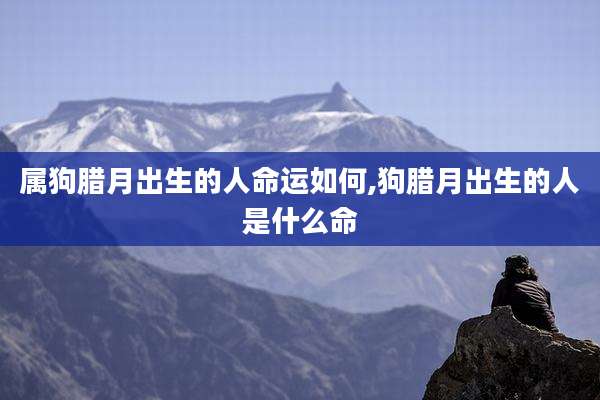 属狗腊月出生的人命运如何,狗腊月出生的人是什么命
