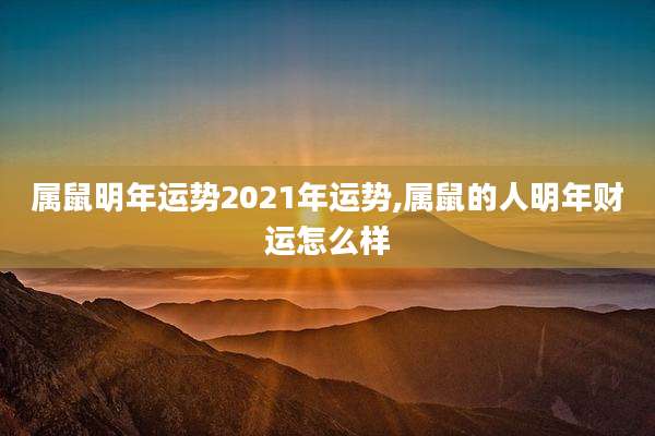 属鼠明年运势2021年运势,属鼠的人明年财运怎么样