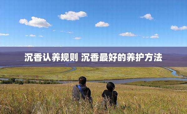 沉香认养规则 沉香最好的养护方法