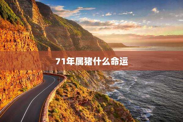 71年属猪什么命运