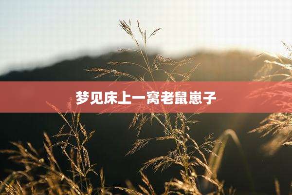 梦见床上一窝老鼠崽子