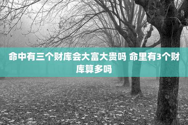 命中有三个财库会大富大贵吗 命里有3个财库算多吗