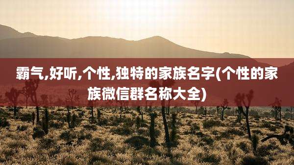 霸气,好听,个性,独特的家族名字(个性的家族微信群名称大全)