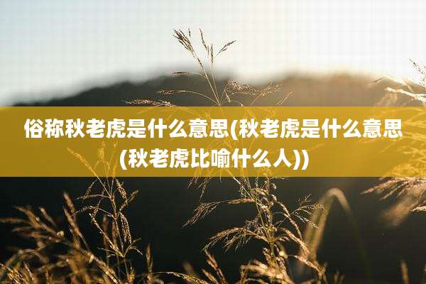俗称秋老虎是什么意思(秋老虎是什么意思(秋老虎比喻什么人))