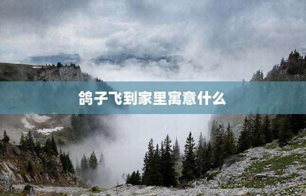 鸽子飞到家里寓意什么
