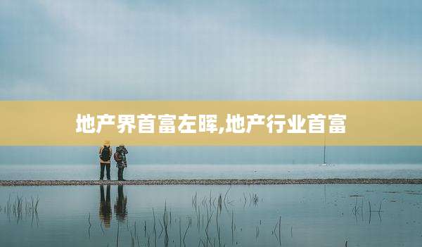 地产界首富左晖,地产行业首富