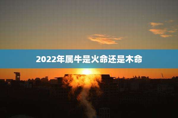 2022年属牛是火命还是木命