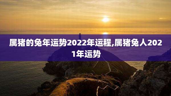 属猪的兔年运势2022年运程,属猪兔人2021年运势