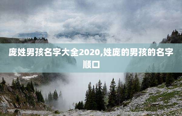 庞姓男孩名字大全2020,姓庞的男孩的名字顺口