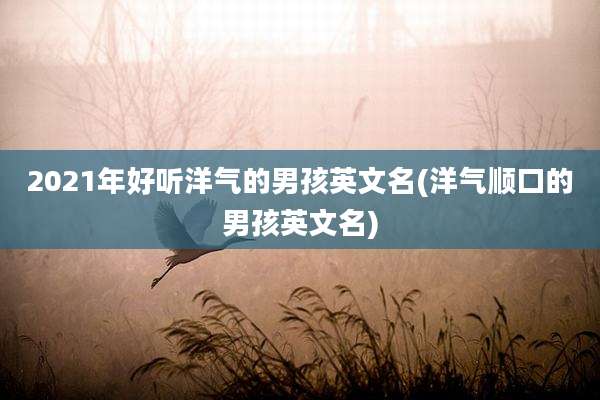 2021年好听洋气的男孩英文名(洋气顺口的男孩英文名)