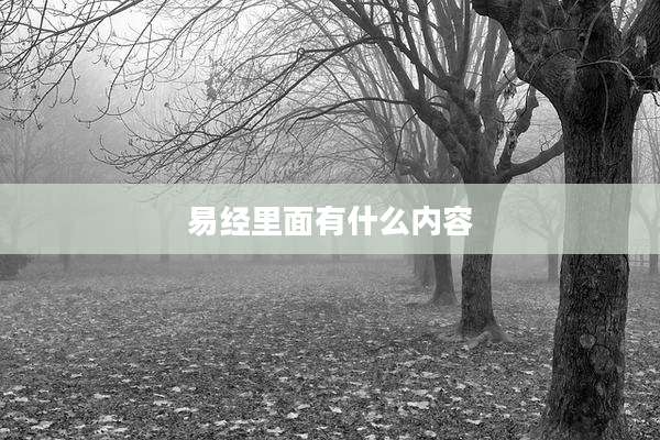 易经里面有什么内容