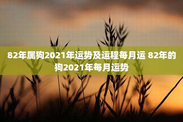 82年属狗2021年运势及运程每月运 82年的狗2021年每月运势