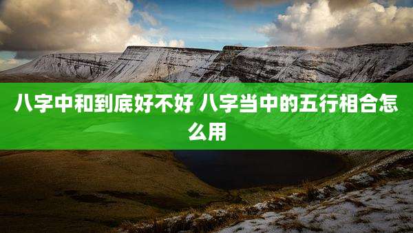 八字中和到底好不好 八字当中的五行相合怎么用