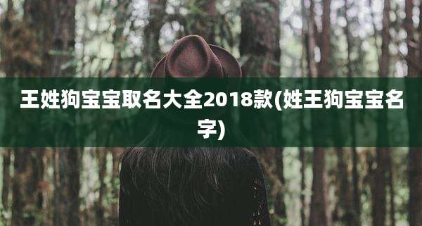 王姓狗宝宝取名大全2018款(姓王狗宝宝名字)