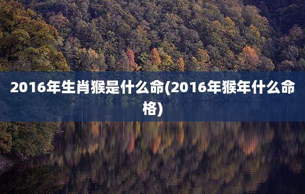 2016年生肖猴是什么命(2016年猴年什么命格)