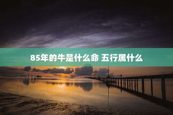 85年的牛是什么命 五行属什么