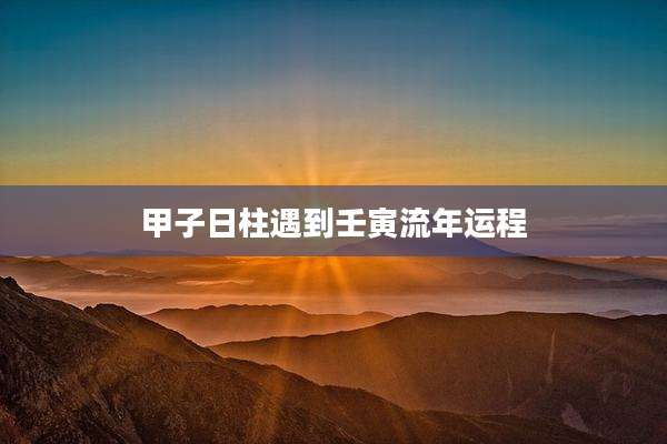 甲子日柱遇到壬寅流年运程