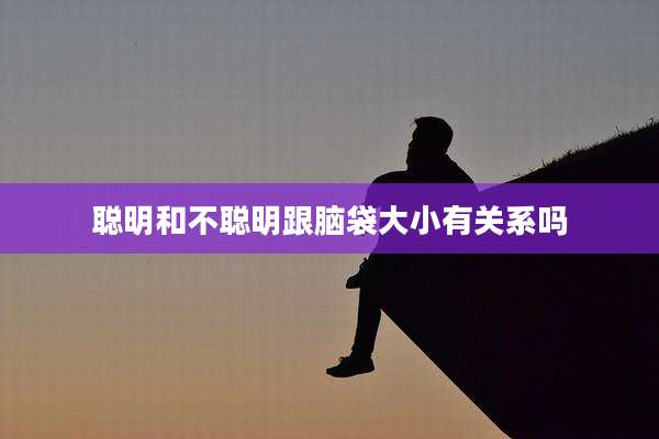 聪明和不聪明跟脑袋大小有关系吗
