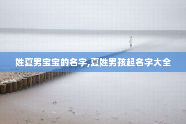 姓夏男宝宝的名字,夏姓男孩起名字大全