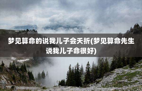 梦见算命的说我儿子会夭折(梦见算命先生说我儿子命很好)