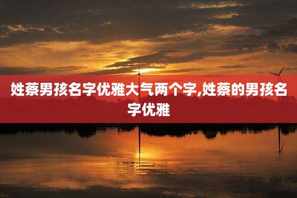 姓蔡男孩名字优雅大气两个字,姓蔡的男孩名字优雅