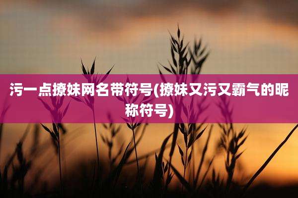 污一点撩妹网名带符号(撩妹又污又霸气的昵称符号)