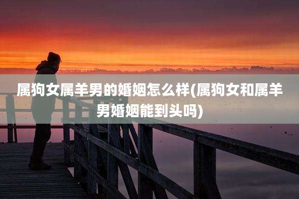 属狗女属羊男的婚姻怎么样(属狗女和属羊男婚姻能到头吗)