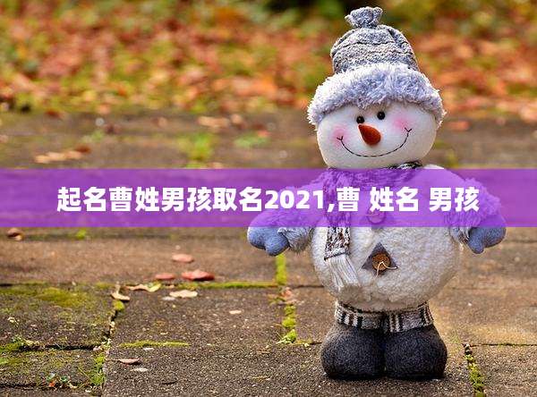 起名曹姓男孩取名2021,曹 姓名 男孩
