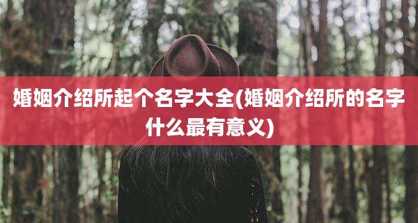 婚姻介绍所起个名字大全(婚姻介绍所的名字什么最有意义)