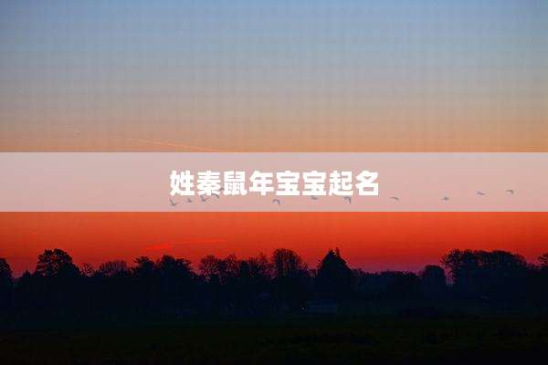 姓秦鼠年宝宝起名