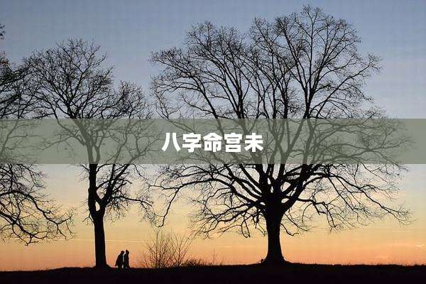 八字命宫未