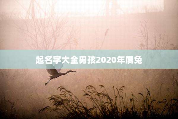 起名字大全男孩2020年属兔