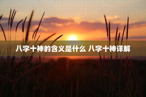 八字十神的含义是什么 八字十神详解