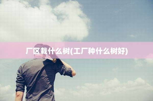 厂区栽什么树(工厂种什么树好)