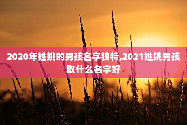 2020年姓姚的男孩名字独特,2021姓姚男孩取什么名字好