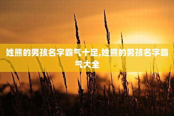 姓熊的男孩名字霸气十足,姓熊的男孩名字霸气大全