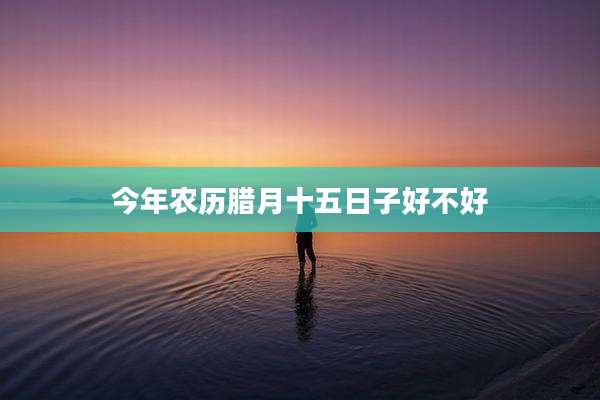 今年农历腊月十五日子好不好