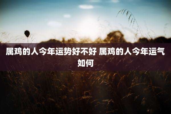 属鸡的人今年运势好不好 属鸡的人今年运气如何