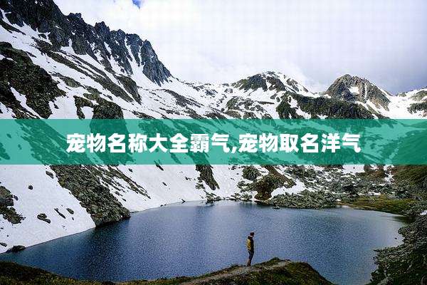 宠物名称大全霸气,宠物取名洋气