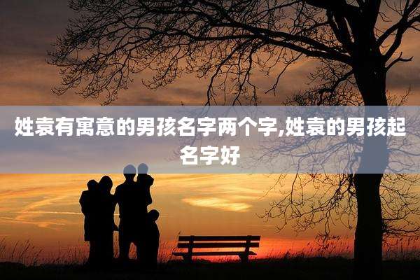 姓袁有寓意的男孩名字两个字,姓袁的男孩起名字好