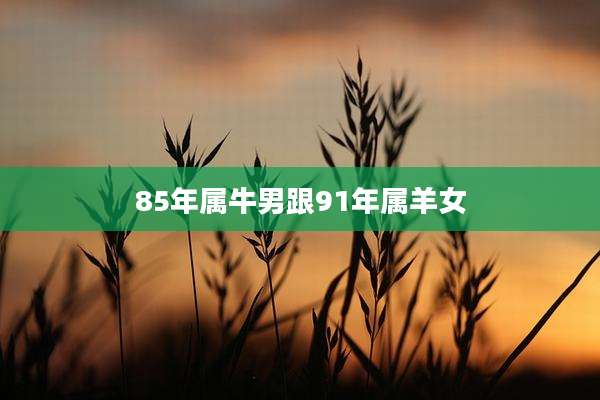85年属牛男跟91年属羊女