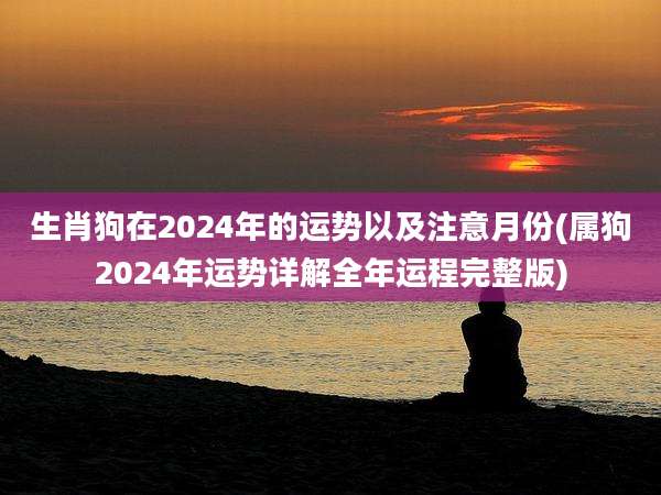 生肖狗在2024年的运势以及注意月份(属狗2024年运势详解全年运程完整版)