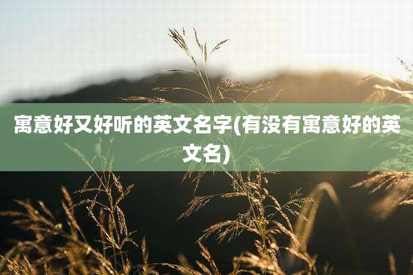 寓意好又好听的英文名字(有没有寓意好的英文名)