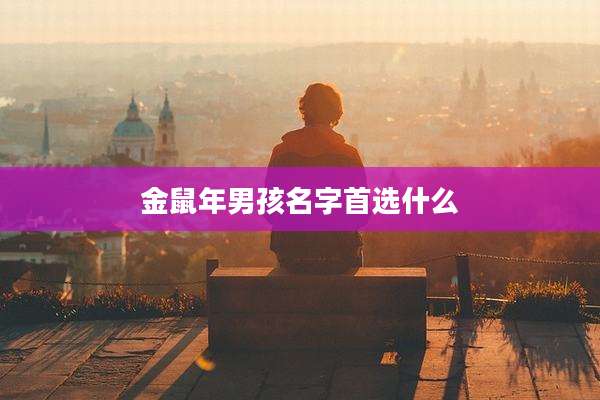 金鼠年男孩名字首选什么