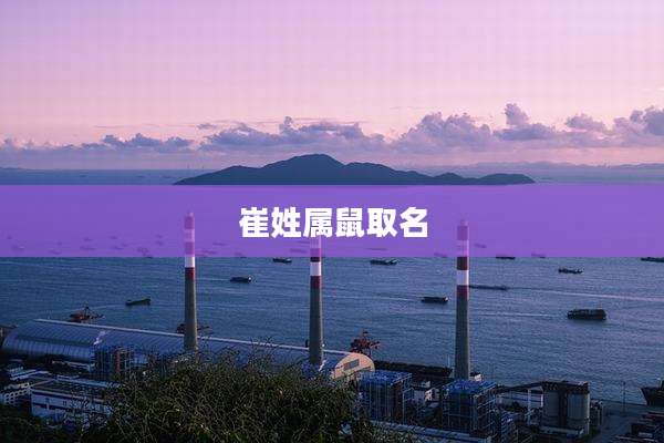 崔姓属鼠取名